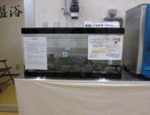 ���h���z��